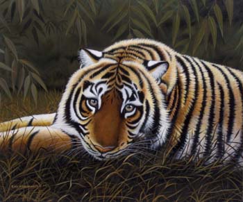 Lying Tiger